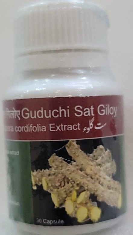 Sate-Gilo / Tinospora cordifolia Extract/ सत्त गुडुची/ सते गिलो/ ست گلو