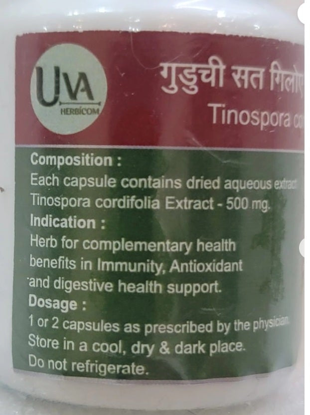 Sate-Gilo / Tinospora cordifolia Extract/ सत्त गुडुची/ सते गिलो/ ست گلو