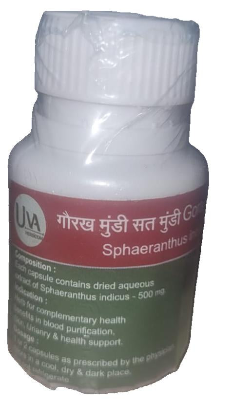 # SATE MUNDI  # GORAKHMUNDI # Sphaeranthus indicus Extract #सते गोरखमुंडी  # सते मुंडी #ست منڈی